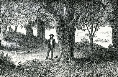 Illusztráció a „Lady Geraldine udvarlásából” (metszet) alkotó: English School