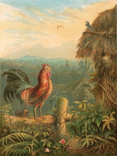 Illustration für Gray