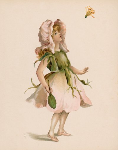 Illusztráció: A virágok nyelve (chromolitho) alkotó: English School