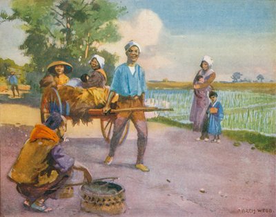 Távol Japánban, a rizsföldekről visszatérve (színes litográfia) alkotó: English School