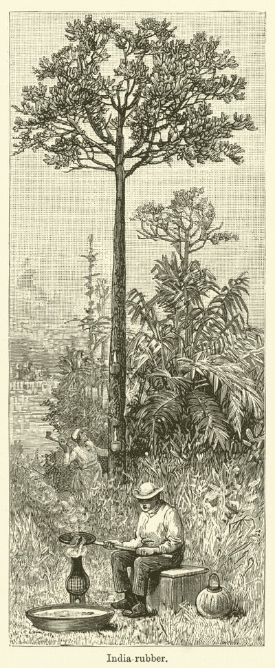 Indiai gumi (gravírozás) alkotó: English School