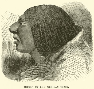 indián a mexikói parton alkotó: English School