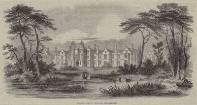 Infant Orphan Asylum, Snaresbrook (metszet) alkotó: English School