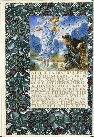 Turnus előtt megjelenő írisz, 1874-1919 körül alkotó: English School