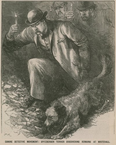 Hasfelmetsző Jack: Spitbergen terrier, aki a Whitehallban találja meg a maradványokat (metszet) alkotó: English School