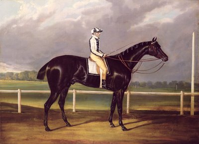Jerry, a St. Leger nyertese 1824-ben (olaj, vászon) alkotó: English School
