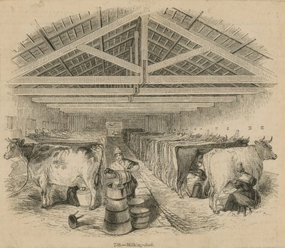 Laycocks Dairy Farm, 1841. júliusi keltezésű alkotó: English School