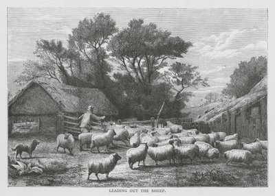 A juhok kivezetése (metszet) alkotó: English School