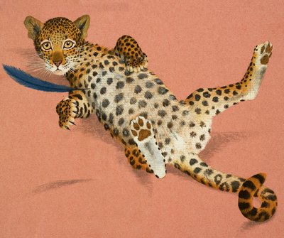 Leopárd kölyök alkotó: English School