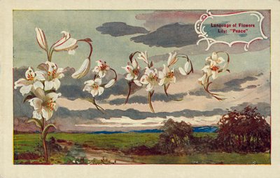 A liliom a virágok nyelvén békét jelent (színes litográfia). alkotó: English School