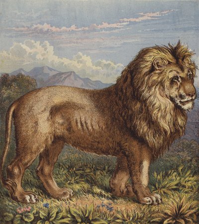 Oroszlán (színes litó) alkotó: English School
