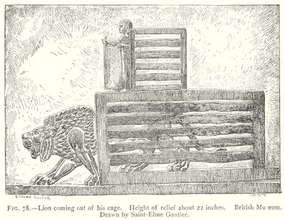 Oroszlán kijön a ketrecéből (metszet) alkotó: English School