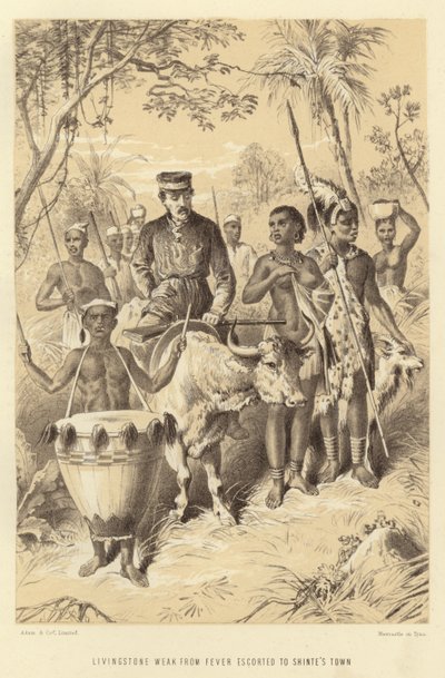 A láztól gyenge Livingstone-t Shintes Townba kísérték alkotó: English School