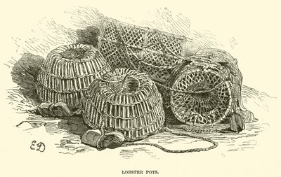 Homárcserepek (metszet) alkotó: English School