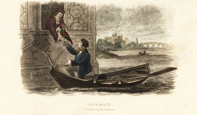 A londoni hajós megment egy beszélő papagájt VIII. Henrik angol királyhoz alkotó: English School