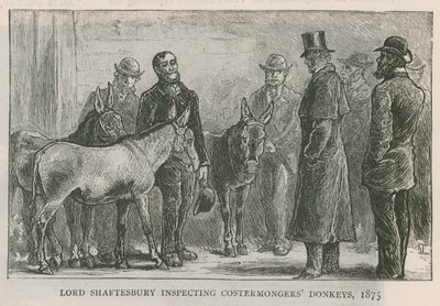 Lord Shaftesbury a költségkereskedők szamarait vizsgálja alkotó: English School