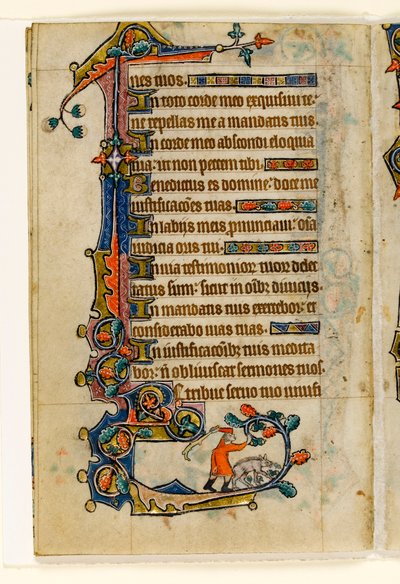 MS 1-2005, fol. 170v: A sertéspásztor makkot üt le egy disznónak, szélső díszítés a Macclesfield Zsoltárból, Sarum használata, East Anglia, 1330 körül alkotó: English School