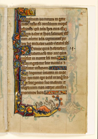 MS 1-2005, fol. 22r: A majomdoktor és a medvebeteg, marginális díszítés a Macclesfield Zsoltárból, Sarum használata, East Anglia, 1330 körül alkotó: English School