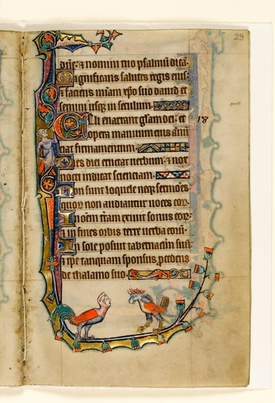 MS 1-2005, fol. 29r: Két madárszerű groteszk, marginális díszítés a Macclesfield Zsoltárból, Sarum használata, East Anglia, 1330 körül alkotó: English School