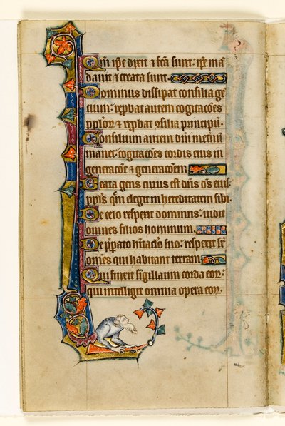 MS 1-2005, fol. 47v: Groteszk, marginális díszítés a Macclesfield Zsoltárból, Use of Sarum, East Anglia, 1330 körül alkotó: English School