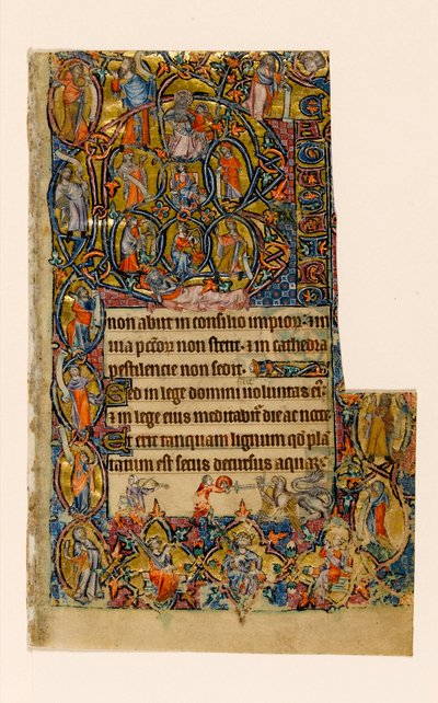 MS 1-2005, fol. 9r: Jesse fája és a Beatus kezdeti határa zenész és groteszk harccal, a Macclesfield Psalterből, Sarum használata, East Anglia, 1330 körül alkotó: English School