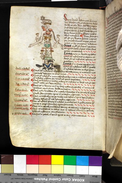 MS Hunter 251 f.47v, 