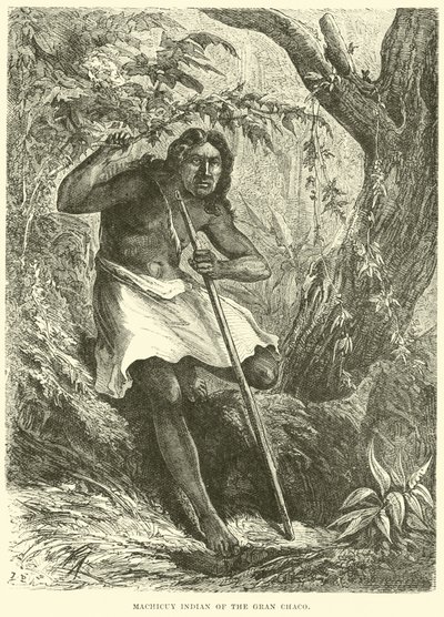 Machicuy indián a Gran Chacoból alkotó: English School