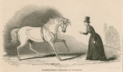 Mademoiselle Caroline a Vauxhall Gardensben, Londonban alkotó: English School