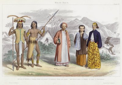 Maláj faj (színes metszet) alkotó: English School