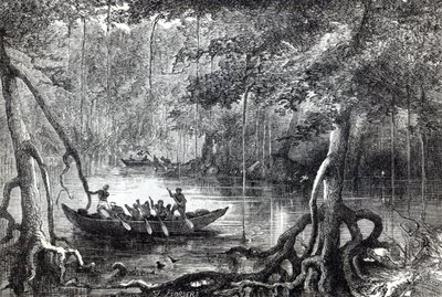„Mangrove Forest”, előlapi illusztráció a „Huszonkilenc év Nyugat-Indiában és Közép-Afrikában”, H.M. Waddell, 1863-ban jelent meg Londonban alkotó: English School