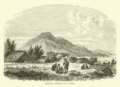 Maori házak egy Pah-ban alkotó: English School