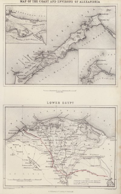 Térkép: Alexandria partvidékének és környékének térképe; Alsó-Egyiptom (színes litográfia). alkotó: English School