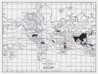 A rizstermelő országokat ábrázoló világtérkép (litho) alkotó: English School