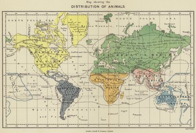 Az állatok eloszlását bemutató térkép (színes litho) alkotó: English School