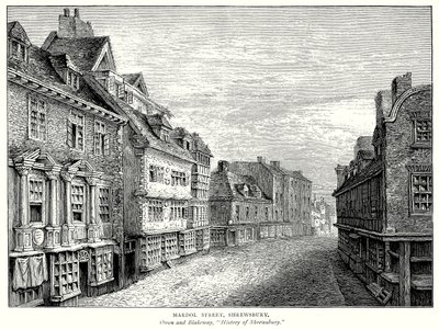 Mardol Street, Shrewsbury (metszet) alkotó: English School