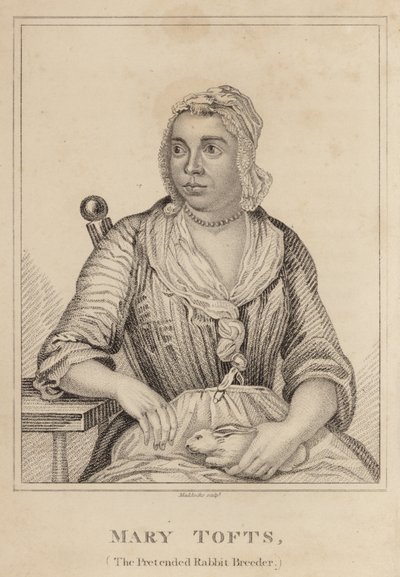 Mary Tofts, A tettetett nyúltenyésztő alkotó: English School