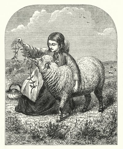 Mária báránya (metszet) alkotó: English School