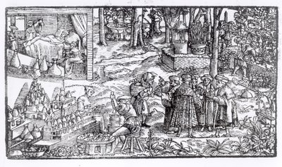 Gyógynövénytermesztés, 1531 alkotó: English School