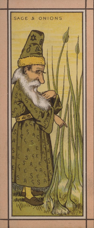 Menüillustration: Salbei und Zwiebeln von English School