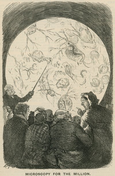 Mikroszkóp a millióért alkotó: English School