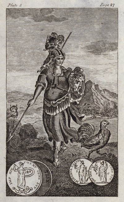Minerva vagy Pallas (metszet) alkotó: English School