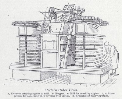 Modern almabor prés (litho) alkotó: English School