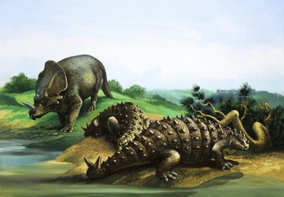 Monoclonius és Scolosaurus alkotó: English School