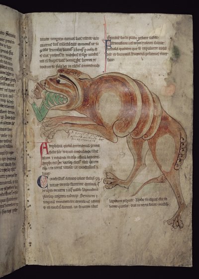 Ms.254 f.24 r Cocodrillus nyel egy embert alkotó: English School