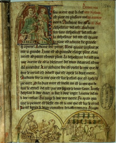 Ms.O.1.20.f.241v Jerome: Egy beteget meglátogató orvos és egy patikus, a „De Nominibus Herbraicis”-ból (vellum) alkotó: English School