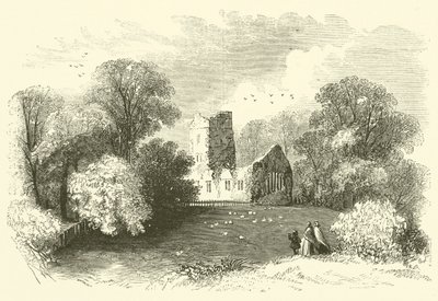 Mucruss Abbey (metszet) alkotó: English School