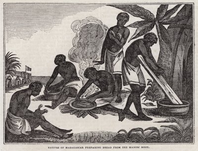 Madagaszkár bennszülöttei manióka gyökérből kenyeret készítenek (metszet) alkotó: English School
