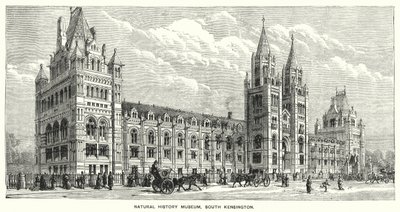 Természettudományi Múzeum, South Kensington (metszet) alkotó: English School