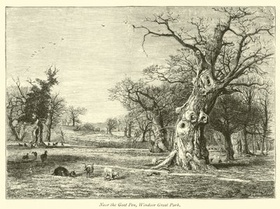 A Kecskekar közelében, a Windsor Great Parkban alkotó: English School