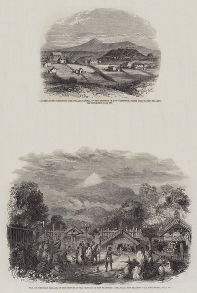 New Plymouth Új-Zélandon (metszet) alkotó: English School